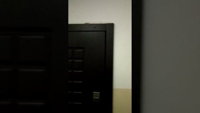 Соседи вывесили картины в подъезде ➄