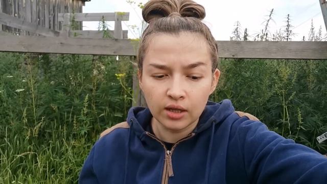 Чем планирую заниматься с ребёнком двух лет. Планы на учебный год.