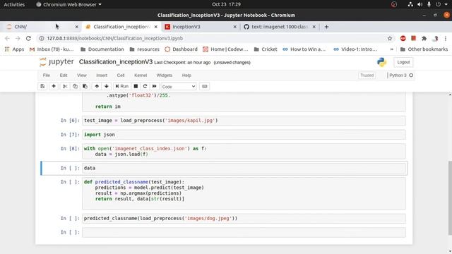 InceptionNet Implementation with Keras/Tensorflow | Classifying real images смотреть онлайн