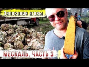 Мескаль. Часть 3. Запекание агавы.