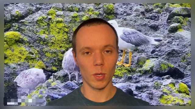 Зачем нужен духовный учитель: 3 причины и 2 качества Гуру смотреть онлайн