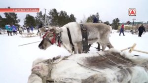 День оленевода в деревне Русскинская