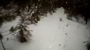 Охота на Куницу капканами / Проверка капканов на куницу / Привада на лис. Сезон 22/23