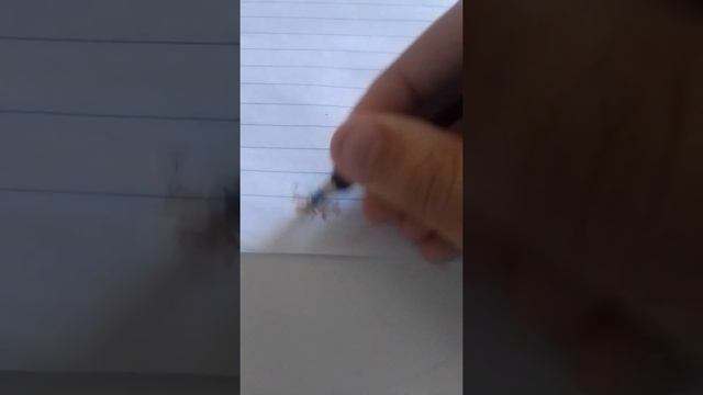 Как нарисовать маленький герб России! смотреть онлайн