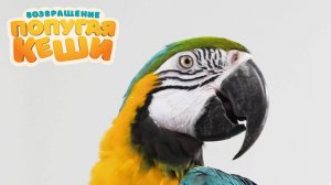 Возвращение попугая Кеши — Тизер-трейлер (2024)