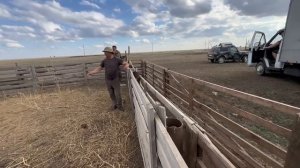 Посетили хозяйство Ерагый Исаевича Волгоград-Эдильбай ??????