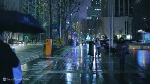 뿌연 안개비 내리는 여의도 퇴근길 밤 산책, 서울 여행 워커, 서울 트래블 워커.