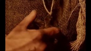 Почему плачут иконы