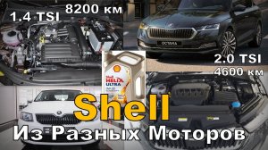 Skoda: Shell Из Разных Моторов. Тест На Вязкость и Капельная Вытяжка Масла (2023)