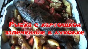 Рыба с картошкой в духовке.