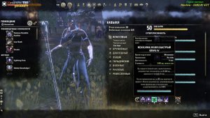 TESO NoCP Sorc pvp Build - ПВП сборка на стам Сорка для нонЧП (на русском клиенте)