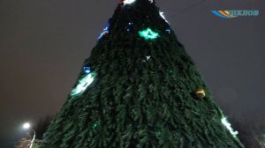 Раз, два, три, ёлочка, гори!