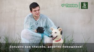 БФ "НИКА", отчет по сбору на платформе Tooba: средства для обработки