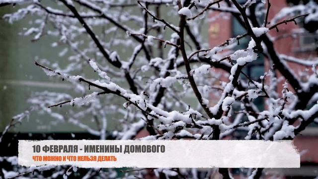 10 февраля - именины Домового. Что можно и что нельзя делать в этот день смотреть онлайн