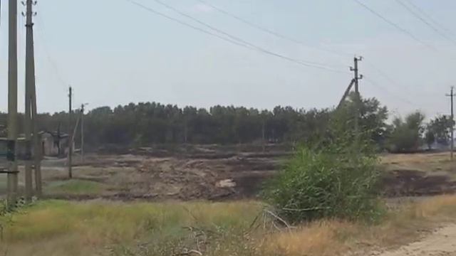 Пожар, горит лес, Ольховатка 2010г. смотреть онлайн