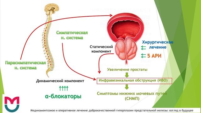 Котов интервью про а-блокаторы при СНМП/ДГПЖ смотреть онлайн