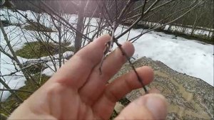 АПРЕЛЬСКИЙ ОБЗОР.