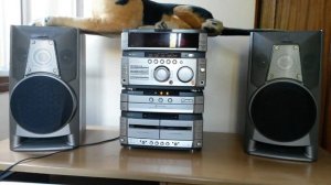 sony mhc w 555