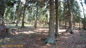 Прогулка по острову Крепыш.