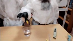 Мастерята-2022.  Сити фермерство