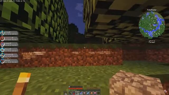 НОВАЯ ЭВОЛЮЦИЯ И ПОПОЛНЕНИЕ ПОКЕМОНОВ!! МАЙНКРАФТ ПОКЕМОНЫ (Pixelmon GENERATIONS) #33 смотреть онлайн