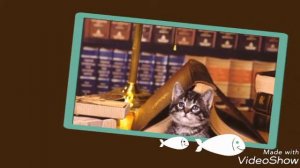 С ДНЁМ РОЖДЕНИЯ ТЕБЯ БАСИК! СЛАЙД ШОУ ПРО БАСЬКИН ДЕНЬ РОЖДЕНИЯ 😺