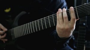 Check the Distortion - Destroyer - 8 String Deathcore Djent