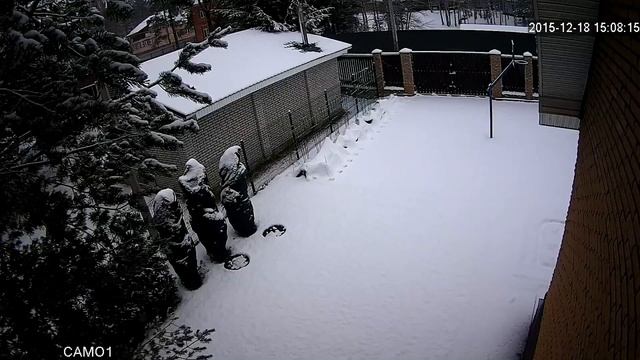 IP видеонаблюдение в загородном доме смотреть онлайн