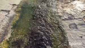 Пробежка на море