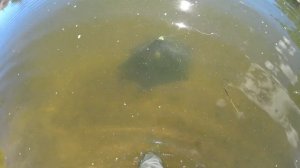 Забродный комбинезон РОКС. Краткий обзор и рыбалка | Илюха Ловит