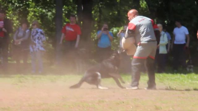 Лагвардия Дружина   06.06.2015г.  ЧК