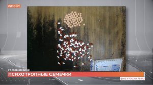 Запрещенные предметы в пакете с семечками в СИЗО-1 (Первый Ростовский-12.04.2024)