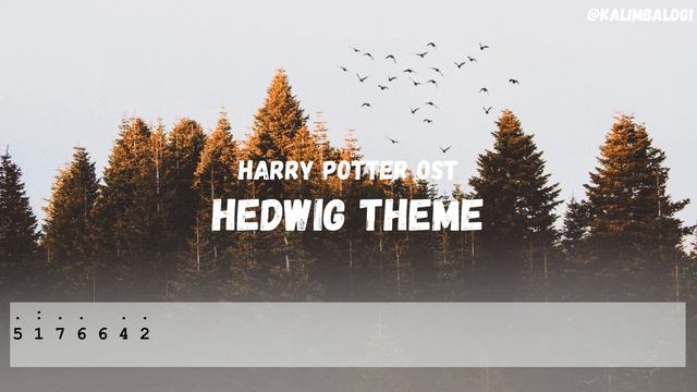 Harry Potter - Hedwig Theme || Easy Kalimba Number Tabs