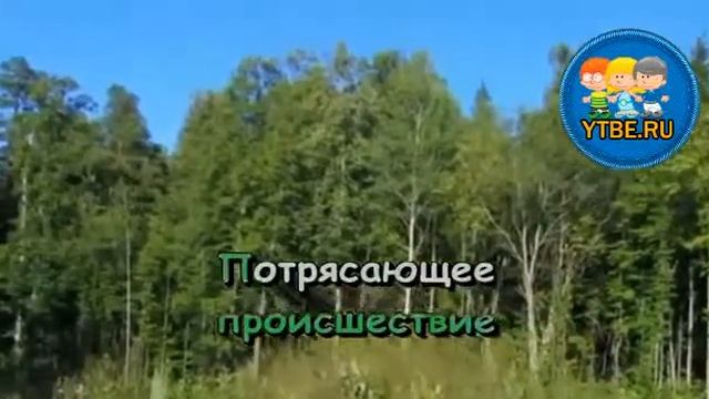 Караоке для детей. Чрезвычайное проишествие Из кинофильма Каникулы Петрова и Васечкина. Детские смотреть онлайн