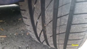 Шины Lassa Impetus Revo 195/55 R15 высота протектора. Asker