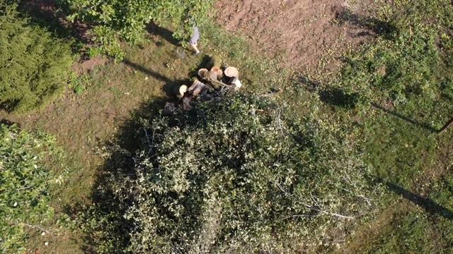 После дождичка в четверг нас ждал сюрприз. смотреть онлайн