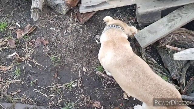 Славянск.05.11.23. Обстановка Постоянно Меняется. НЕБО сегодня‼️Знак? смотреть онлайн