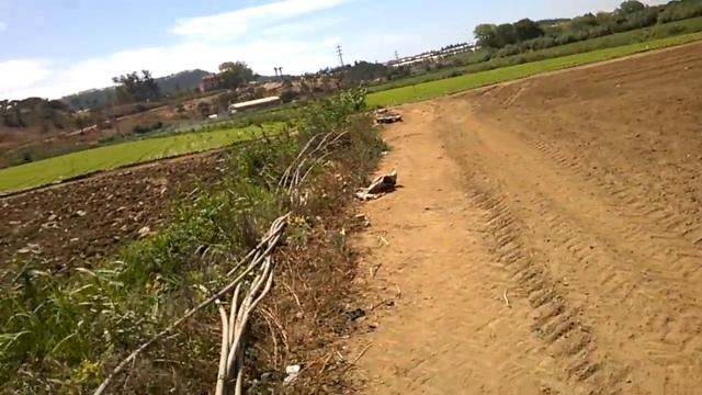 Как в Европе растет листовой САЛАТ Europe Portugal planting lettuce смотреть онлайн