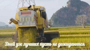 Нива вся белешенька стоит 🌾#христианскиепесни