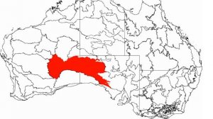 Great Victoria Desert | Wikipedia audio article