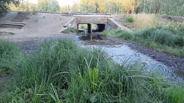 Ржевский лесопарк: Река Лапка.