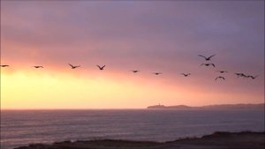 КРАСИВАЯ Мелодия Для Расслабления и Снятия усталости. Послушайте! Красота Азии