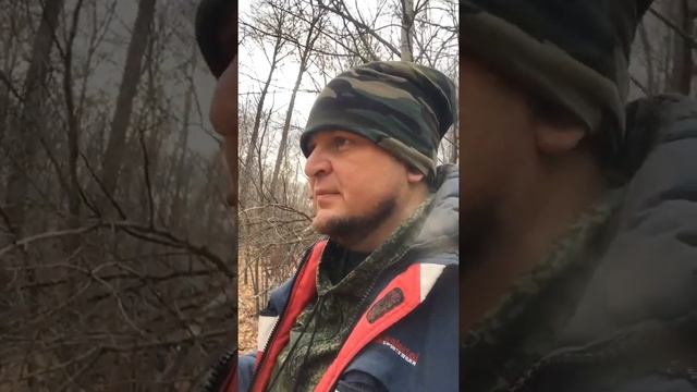 Нашёл кошелёк царских монет
