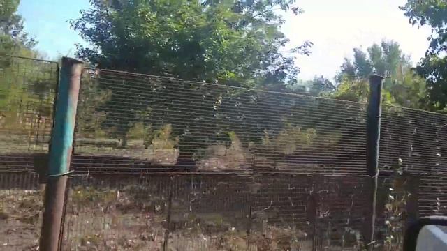 О чем свидетельствует цвет свечей зажигания? А какие свечи на вашей машине? смотреть онлайн