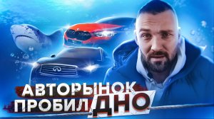 Продажи авто встали. Что творится на авторынке спустя больше месяца?