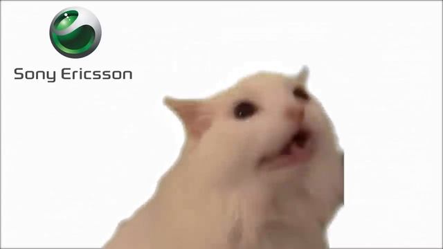 Кошка мяукает как известные торговые марки смотреть онлайн