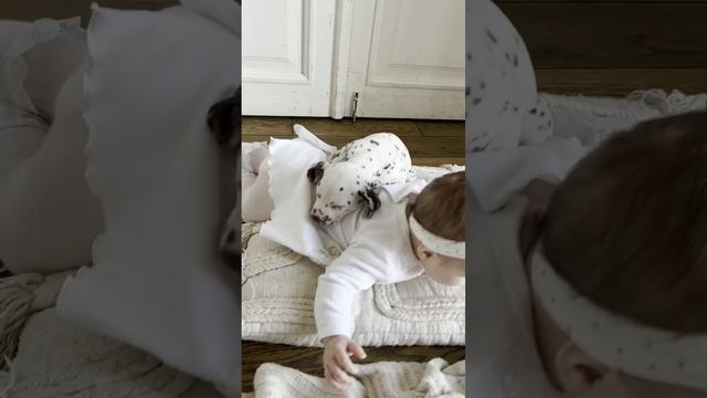 #Щенотерапия #щенокдалматина #далматин #майские