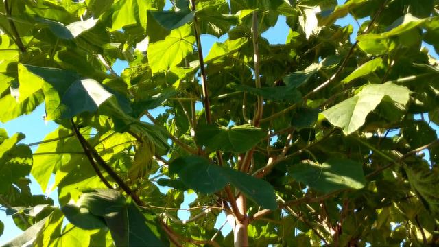 O czym jest kanał, czego możecie się tu spodziewać. Daj głośniej ®✅👍🤝 Intro. смотреть онлайн