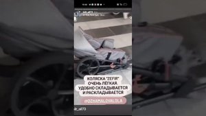 Специальная прогулочная коляска ZEFIR MyWam