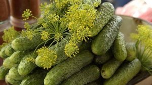 Дедушкины огурчики..... В чём секрет? Неизвестно...